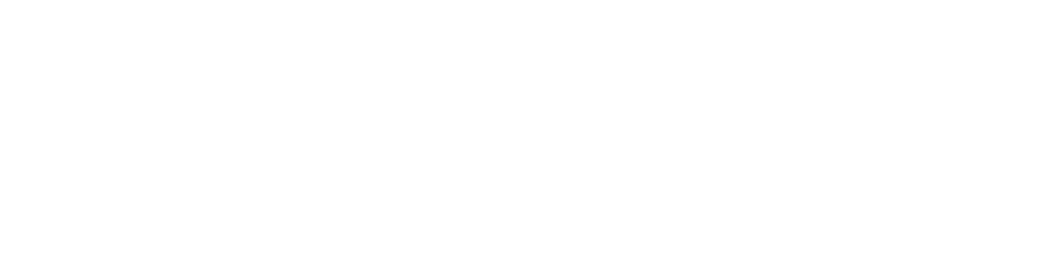 Soundlink logo full width